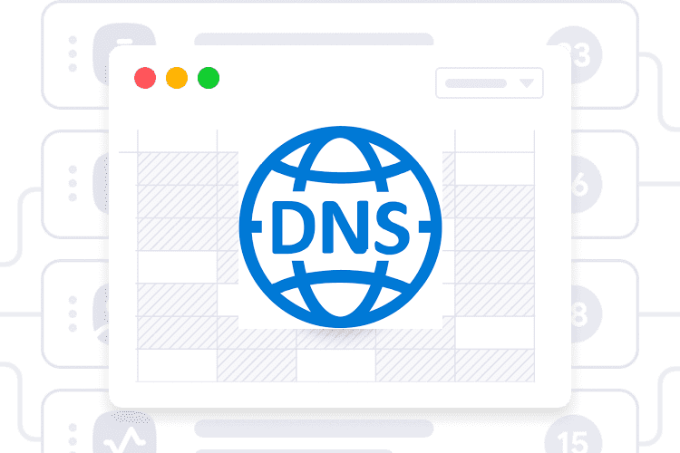 Netcore DNS
